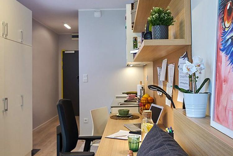 Collegia Akademik | Gdansk | 19