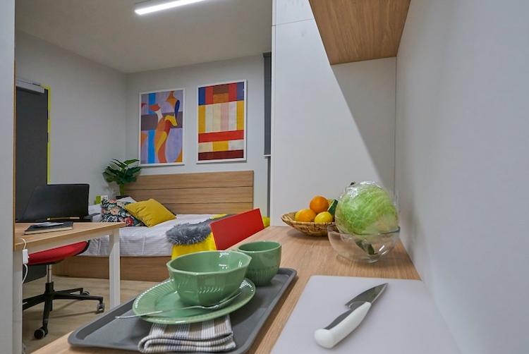 Collegia Akademik | Gdansk | 5