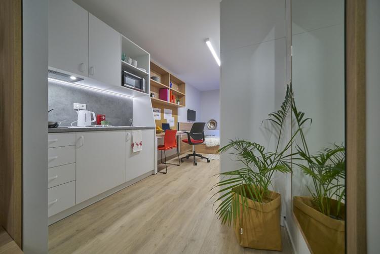 Collegia Akademik | Gdansk | 13