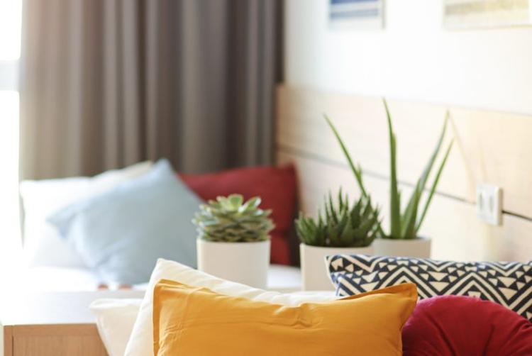 Collegia Akademik | Gdansk | 31