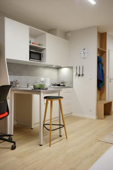 Collegia Akademik | Gdansk | Photos 5